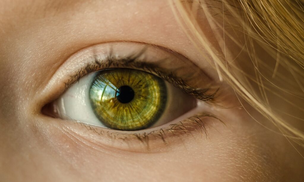 Auge fokussiert Pupille Vorsorgeuntersuchungen an den Augen – ab welchem Alter sinnvoll